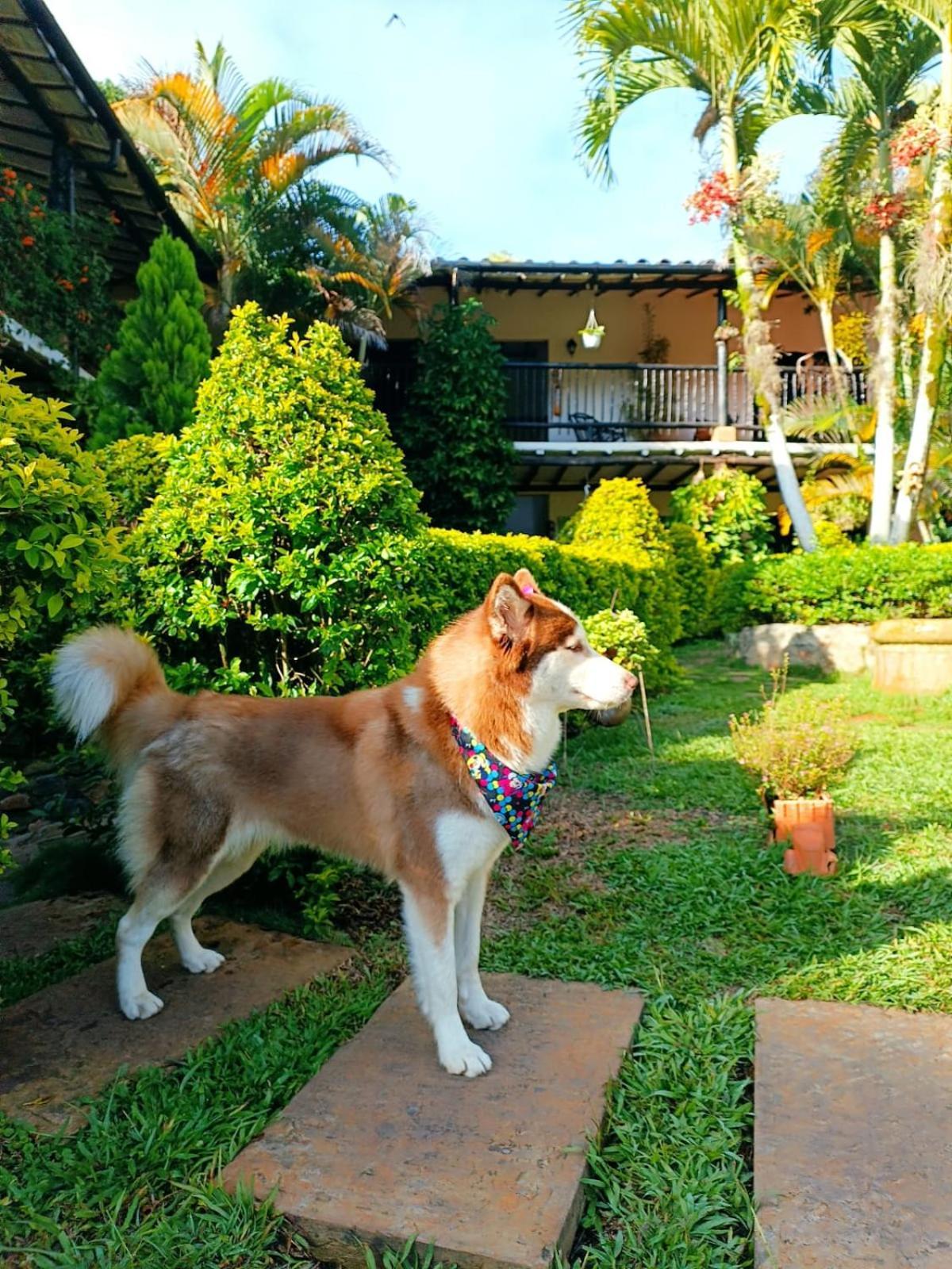 Campestre Casona Del Camino Real Hotel